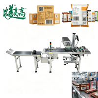 Machine de marquage laser haute précision pour la date de production et les marques de brevet, pour l'emballage de snacks, ligne de production d'emballages souples pour snacks