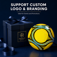 Ballons de football Aiju personnalisés avec logo, en PVC, cousus à la machine, taille 4/5, durables, de haute qualité, pour les sports d'équipe et les divertissements