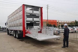 <span class=keywords><strong>Camion</strong></span> Dongfeng 8x4 con Guida a Sinistra per Trasporto Bestiame, Sistema di Carico Automatico per Animali, Grande Capacità, Alimentazione Diesel - Product Image 3