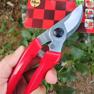 กรรไกรตัดแต่งกิ่งอลิซ 130 ดีเอ็กซ์ใบมีดเหล็กขนาด 19 มม. ด้ามจับกันลื่น เครื่องมือทำสวน - Product Image 2