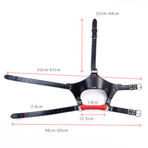 2025 baru mainan seks pengekangan SM bola tulang anjing Fetish batang Gag mulut terbuka silikon Set menggoda sabuk Harness dewasa Slave seksi - Product Image 6