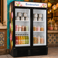Vitrine de supermarché verticale à porte vitrée, à économie d'énergie, avec refroidissement par air et contrôleur numérique, pour la présentation de produits surgelés
