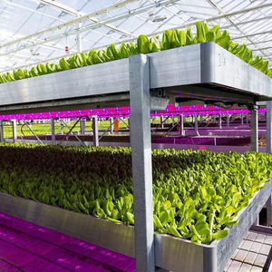 Lámpara LED T8 Hidropónica para Cultivo, 1200mm, Aluminio, 15W/30W, IP44, 3 Años de Garantía, para Floración de Tomates - Product Image 6