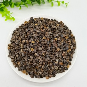 Cascarilla de arroz de alforfón orgánico natural, para almohada, venta al por mayor - Product Image 6