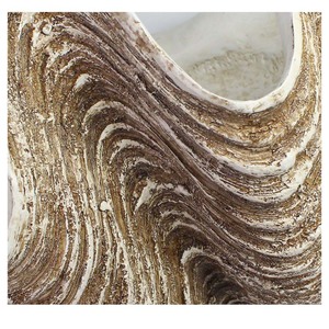 Đồ Trang Trí Đại Dương Vỏ Sò Cây Trồng Trong Nhà Khổng Lồ Để Trang Trí Sân Vườn Nhựa Nhân Tạo Trang Trí Nhà - Product Image 4