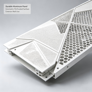 Panel de Revestimiento de Aluminio para Fachada de Edificio Moderno, Pantalla de Pared Cortina para Exteriores Comerciales de Centros Comerciales - Product Image 3