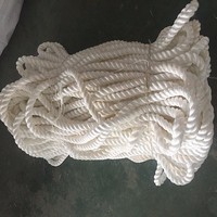 Ligne de quai pour bateau/yacht/marine Caractéristique durable et haute résistance Corde d'amarrage torsadée en nylon PET pour l'agriculture marine