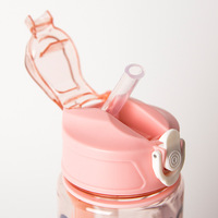 Bouteille d'eau portable pour enfants avec couvercle à ressort, en plastique transparent sans BPA, anti-fuite et compatible lave-vaisselle, motif dessin animé, vente chaude