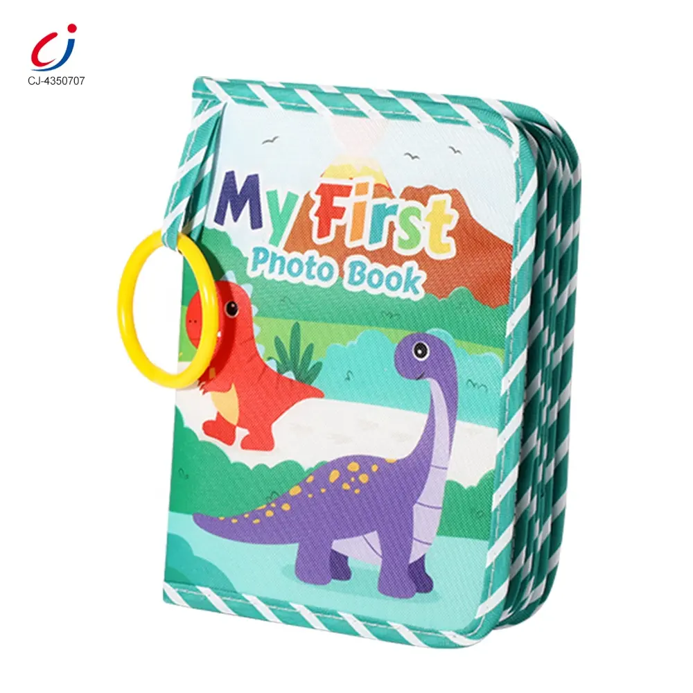 Chengji bébé livre photo jouets enregistrement croissance jeu ensemble grande capacité tissu doux album mignon dinosaure tissu livre