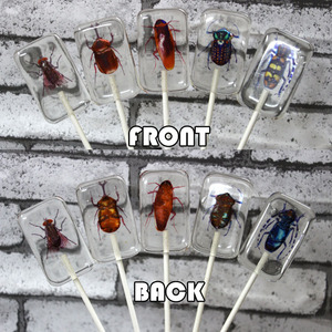 Nuevo Producto Creativo, Caramelo con Forma de Insecto Hecho a Mano, Piruleta de Insecto, Caramelo de Halloween al por Mayor, Caramelo Ámbar - Product Image 4