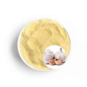Échantillon gratuit <span class=keywords><strong>d</strong></span>'épices Prix compétitif Bonne saveur Poudre <span class=keywords><strong>d</strong></span>'<span class=keywords><strong>ail</strong></span> biologique naturel - Product Image 2