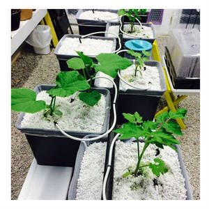 Aquapo nisches Anbaus ystem Tomaten Farm Substrat Dutch Bucket Hydro ponics System 11 Liter - Product Image 1