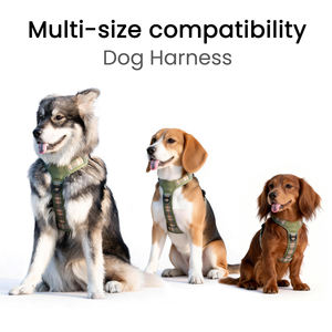 สายรัดสุนัขแบบปรับได้ Sunraymascota รุ่น Heavy Duty ป้องกันการดึง  คอลเลคชั่น Heritage  สายรัดสุนัขดีไซน์เนอร์  พร้อมโลโก้สั่งทำ - Product Image 6