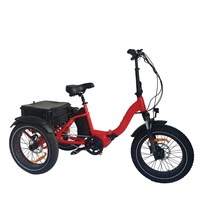 Tricycle électrique de 20 pouces à entraînement central, 48V, vélo à panier arrière à 3 roues avec gros pneus, vélo de montagne électrique pour la conduite hors route