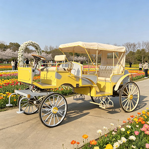Chariot de tourisme à chevaux pour attractions touristiques et sites emblématiques, destiné aux projets d'attraction touristique commerciale dans les communes culturelles et à la réception de visiteurs - Product Image 1