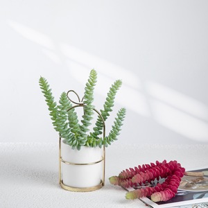CallaFloral Plante Succulente Artificielle Mini Décoration Végétale pour la Maison, le Bureau, Style Européen, Bouquet en PVC Caoutchouc Souple Rouge et Vert - Product Image 1