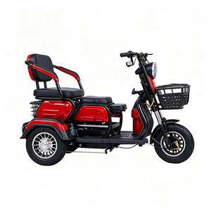 Triciclo Eléctrico Personalizable en Color, 1000W 60V, para Pasajeros, 3 Ruedas, Rickshaw Eléctrico, Tuk Tuk en Venta - Product Image 4