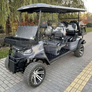 รถกอล์ฟ2-Seater ดีเซลหกที่นั่งแรงดันไฟฟ้า48โวลต์ - Product Image 6