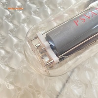 Psvane Tube à Vide Professionnel de Haute Qualité 805A-PT pour Amplificateur HIFI – Remplace le 805 FU-5