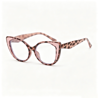Lunettes anti-lumière bleue rétro SM5216, monture PC unisexe avec accents métalliques dorés