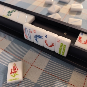 Tuiles de Mahjong en Acrylique Blanc Américain de Luxe, Ensemble de 160 Pièces, Couleur Personnalisée, Durables, Écologiques, pour 4 Joueurs, Pliables et Portables - Product Image 1