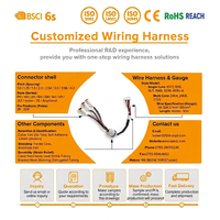 Kabel Kontrol Harness Kabel PVC/PBT Tahan Api Rendah Asap untuk Fasilitas Umum, Mobil, Sepeda Motor, Penerangan Terowongan