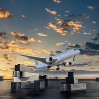 Envío Aéreo Internacional Económico DDP Logística DHL FEDEX TNT EMS desde China a Estados Unidos con 1-3 Días de Tránsito y Seguro