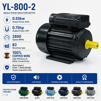 Moteur à induction monophasé YL-800-2 0,55 kW 0,75 CV 2800 tr/min, fil de cuivre pur à 100 %, haute efficacité, moteur électrique monophasé