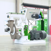 RICHI 3-4t/h Machine de fabrication de granulés de bagasse - Machine à granulés entièrement automatique pour son de riz, balles de riz et granulés de bois de pin et d'épinette
