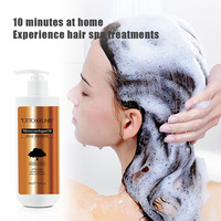 ODM/OEM Made in China-shampoing naturel à l'huile d'argan, shampoing au collagène, hydratant, nourrissant, soins capillaires Afro, traitement des cheveux, shampoing biologique
