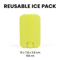 Prix d'usine – Mini-briques de glace isothermes colorées en plastique rigide, mignonnes, pour cadeaux, qualité alimentaire