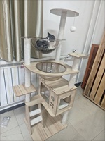 Arbre à chat avec griffoir et nid, double capsule spatiale en panneau de densité, jouet universel quatre saisons pour chat de petite taille
