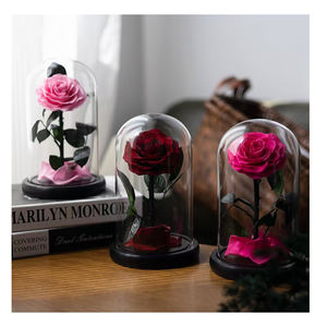 Oses-Flor preservada eterna de <span class=keywords><strong>China</strong></span>, flor preservada de belleza al por mayor en cúpula de cristal - Product Image 3