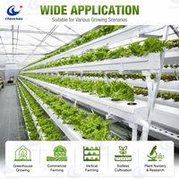 Système d'agriculture verticale hydroponique NFT à étages pour serre, économiseur d'eau, prix usine ChenChao