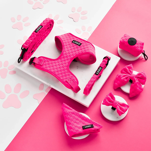 Mignon chien gilet <span class=keywords><strong>collier</strong></span> laisse ensemble réglable avec nœud papillon caca sac support doux maille rembourré chien <span class=keywords><strong>harnais</strong></span> <span class=keywords><strong>pour</strong></span> chiots petit chien marche - Product Image 1