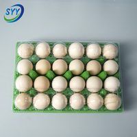 <strong>Best</strong> <strong>Selling</strong> 24 Hole, Stackable, Durable Colored Plastic <strong>Egg</strong> <strong>Cartons</strong> Plastic <strong>Egg</strong> Tray