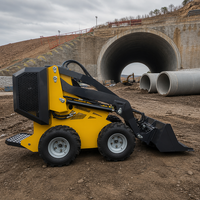 Disponibile Subito: Minipala Gommata 4WD EURO 5 EPA CE Diesel da 1000kg, 1200kg, 1.5 Tonnellate con Trituratore Forestale, Spazzaneve e Spazzatrice