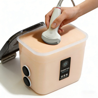 Modelo de Entrenamiento de Anatomía de Próstata por Ultrasonido, Tamaño Compacto, Compatible con Sonda Endocavitaria |   Fantom de Ultrasonido para Diagnóstico de Próstata