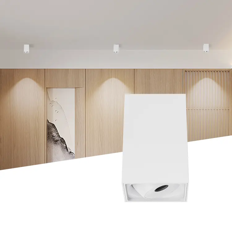 Ecolux ไฟส่องสว่างเป็นเวลานานไม่มีการสั่นไหวอาคารสํานักงานอลูมิเนียมหนาวิลล่าไฟดาวน์ไลท์ LED ไฟสปอตไลท์ LED โคมดาวน์ไลท์เพดาน