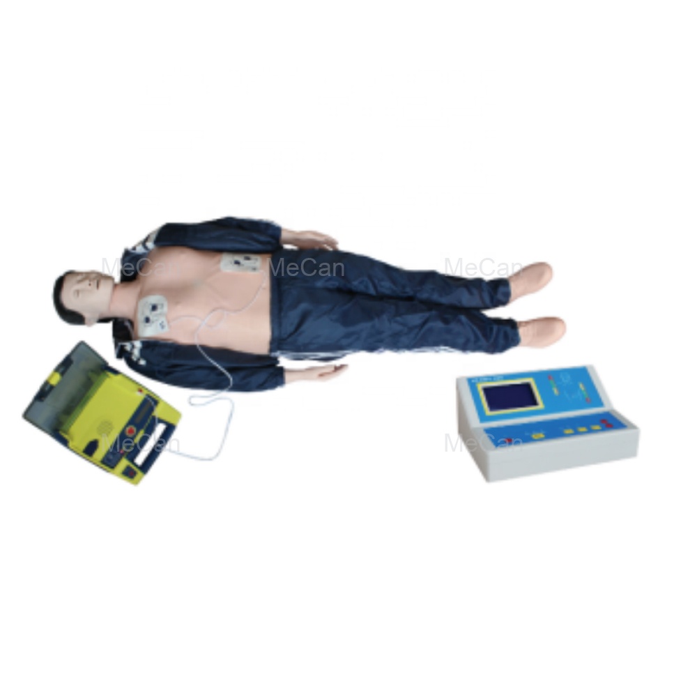 בסיסי חיים תמיכה bls cpr מניקור אימון עזרה ראשון אימון עזרה ראשונה גוף מלא cpr aed מניקור