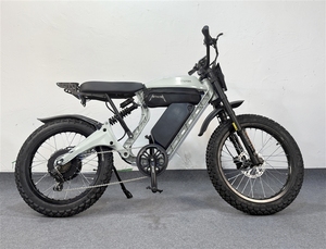 Nuova Bici Elettrica da Cross Verde 2026 con Freni a Disco Idraulici e Schermo Orizzontale, 21000W, Alta Velocità, Disponibile negli USA - Product Image 2