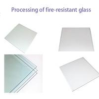 Verre trempé à haute teneur en borosilicate 120 Min ignifuge pour entrée d'escalier extérieur-mur rideau en verre four médical four solaire
