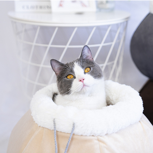 Manufacturer Wholesale Short <b>Plush</b> Cotton Stuffed Lantern <b>Cat</b> Warm House - Product Image 2