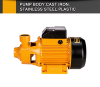 Pompe à eau propre DingQi 370W 0.5HP 104001A 220V 50Hz avec port 1"*1" et hauteur de refoulement max. 26,713m pour l'irrigation domestique et le jardin