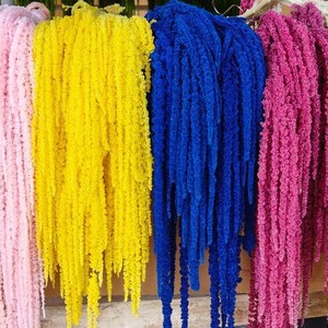 Fleurs d'amarante séchées en gros pour <span class=keywords><strong>la</strong></span> décoration de mariages, <span class=keywords><strong>la</strong></span> décoration intérieure et les événements spéciaux comme <span class=keywords><strong>la</strong></span> Saint-Valentin et les remises de diplômes - Product Image 4