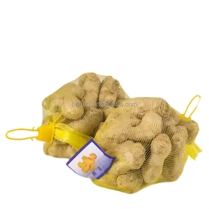 <span class=keywords><strong>Gingembre</strong></span> frais de Chine 150g+ Légumes verts séchés Agriculture Alimentation Vente en gros Exportation Racines de <span class=keywords><strong>gingembre</strong></span> frais - Product Image 1