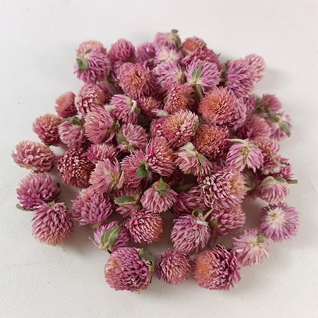 Dried gomphrena globosa pink 20g