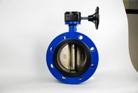 Vanne papillon électrique à joint souple pour turbine, raccord à bride, en fonte ductile, pour la coupure de conduites d'eau et de systèmes CVC