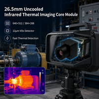 Module de capteur thermique VOx non refroidi de 26,5 mm, 640x512 384x288 12 µm, pour caméra thermique d'inspection industrielle