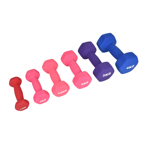 Спортивные прямые домашние Экологичные гантели оптом